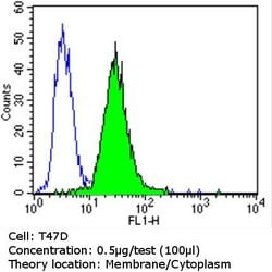 ErbB4 Monoclonal Antibody (H4.72.8 (Ab72)), Invitrogen 500 &mu;L; Unconjugated:Antibodies,
