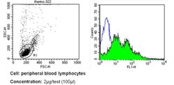 ICAM-1 Monoclonal Antibody (W-CAM-1), Invitrogen 500 &mu;L; Unconjugated:Anticuerpos