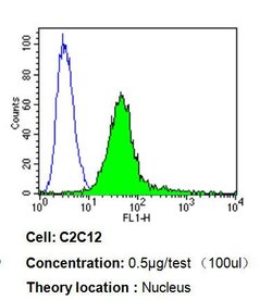Ku70 Mouse anti-Hamster, Human, Mouse, Non-human primate, Xenopus laevis,