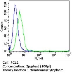 NGFR Monoclonal Antibody (NGFR5), Biotin, Invitrogen 500 &mu;L; Biotin:Antibodies,