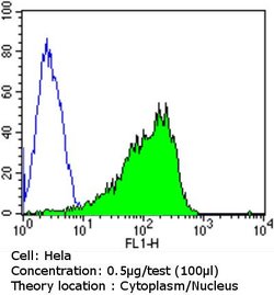 Cdk4 Monoclonal Antibody (DCS-31), Invitrogen 500 &mu;L | Buy Online | Invitrogen | Fisher Scientific