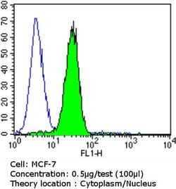 Cdk4 Monoclonal Antibody (DCS-31), Invitrogen 500 &mu;L | Buy Online | Invitrogen | Fisher Scientific