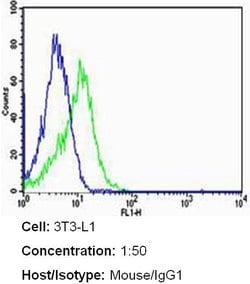 ErbB2 (HER-2) Monoclonal Antibody (3B5), Invitrogen 500 &mu;L; Unconjugated:Antibodies