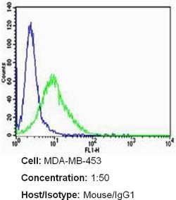 ErbB2 (HER-2) Monoclonal Antibody (3B5), Invitrogen 500 &mu;L; Unconjugated:Antibodies