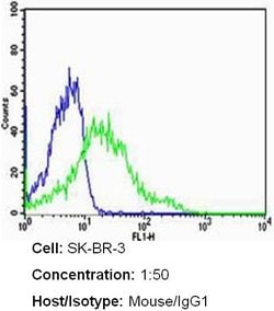 ErbB2 (HER-2) Monoclonal Antibody (3B5), Invitrogen 500 &mu;L; Unconjugated:Antibodies