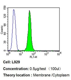 Invitrogen Bax Monoclonal Antibody (6A7) 500 &mu;L; Unconjugated:Antibodies,