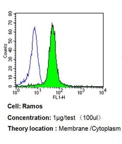 Invitrogen Bax Monoclonal Antibody (6A7) 500 &mu;L; Unconjugated:Antibodies,