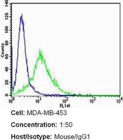 ErbB2 (HER-2) Antibody Cocktail, Invitrogen 500 &mu;L; Unconjugated:Antikroppar
