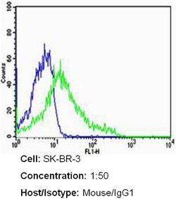 ErbB2 (HER-2) Antibody Cocktail, Invitrogen 500 &mu;L; Unconjugated:Antikroppar