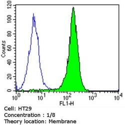 CDX2 Monoclonal Antibody (EPR2764Y), Invitrogen 1 mL; Unconjugated:Antibodies,