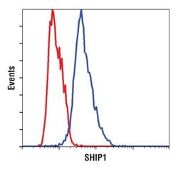 Invitrogen SHIP1 Monoclonal Antibody (T.7.7) 100 &mu;L; Unconjugated:Antibodies,