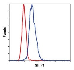 Invitrogen SHIP1 Monoclonal Antibody (J.571.5) 100 &mu;L; Unconjugated:Antibodies,