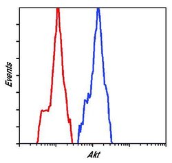 Invitrogen AKT Pan Monoclonal Antibody (E.32.10) 100 &mu;L; Unconjugated:Antibodies,