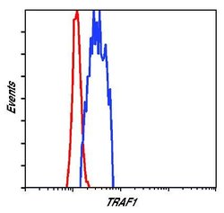 Invitrogen TRAF1 Monoclonal Antibody (K.915.10) 100 &mu;L; Unconjugated:Antibodies,