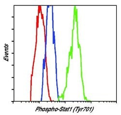 Invitrogen Phospho-STAT1 (Tyr701) Monoclonal Antibody (S.213.5) 100 &mu;L;