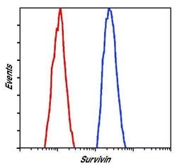 Invitrogen Survivin Monoclonal Antibody (J.33.5) 100 &mu;L; Unconjugated:Antibodies,