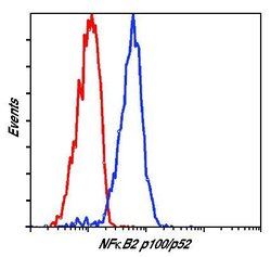 Invitrogen NFkB p52/p100 Monoclonal Antibody (E.212.1) 100 &mu;L; Unconjugated:Antibodies,