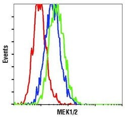Invitrogen MEK1/MEK2 Monoclonal Antibody (J.653.9) 100 &mu;L; Unconjugated:Antibodies,