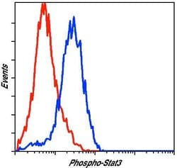 Invitrogen Phospho-STAT3 (Tyr705) Monoclonal Antibody (R.263.6) 100 &mu;L;