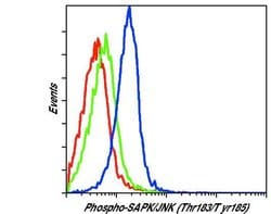 Phospho-JNK1/JNK2 (Thr183, Tyr185) Monoclonal Antibody (E.665.10), Invitrogen