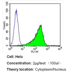 GAPDH Loading Control Monoclonal Antibody (GA1R), Biotin, Invitrogen 50