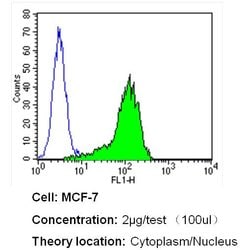 GAPDH Loading Control Monoclonal Antibody (GA1R), Biotin, Invitrogen 50