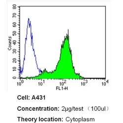 Invitrogen beta Actin Loading Control Monoclonal Antibody (BA3R), Biotin