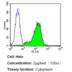 Invitrogen beta Actin Loading Control Monoclonal Antibody (BA3R), Biotin