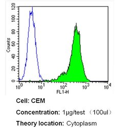 beta Tubulin Loading Control, Biotin, clone: BT7R, Invitrogen 50&mu;L;