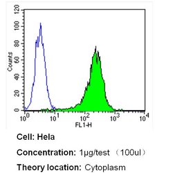 beta Tubulin Loading Control, Biotin, clone: BT7R, Invitrogen 50&mu;L;
