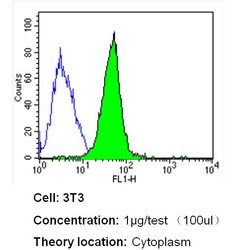 beta Tubulin Loading Control, Biotin, clone: BT7R, Invitrogen 50&mu;L;