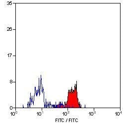 Invitrogen Dectin 1 (soluble) Monoclonal Antibody (2A11) 500 &mu;g; Unconjugated:Antibodies,