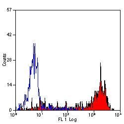 Invitrogen Ly-6B.2 Monoclonal Antibody (7/4) 500 &mu;g; Unconjugated:Antibodies,