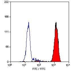 Invitrogen Ly-6B.2 Monoclonal Antibody (7/4) 100 &mu;g; Unconjugated:Antibodies,