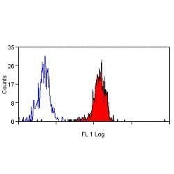 Invitrogen CD38 Monoclonal Antibody (AT13/5) 1 mg; Unconjugated:Antibodies,