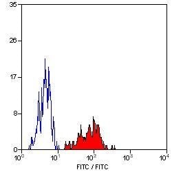 Invitrogen HLA-A2 Monoclonal Antibody (BB7.2), FITC 100 &mu;g | Buy Online | Invitrogen&trade; | Fisher Scientific