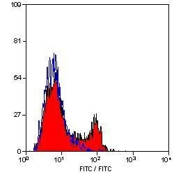 Invitrogen CD21 Monoclonal Antibody (CA2.1D6) 100 &mu;g; Unconjugated:Antibodies,