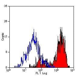 Invitrogen F4/80 Monoclonal Antibody (Cl:A3-1):Antibodies:Primary Antibodies