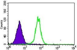 Invitrogen MRPL42 Monoclonal Antibody (3H6G11) 100 &mu;g; Unconjugated:Antibodies,