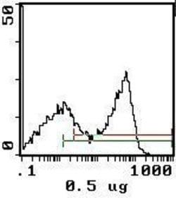 Invitrogen RT1.B Monoclonal Antibody (OX-6), PE:Antibodies:Primary Antibodies
