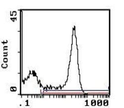 Invitrogen RT1.D Monoclonal Antibody (OX-17), PE 50 &mu;g; PE:Antibodies,