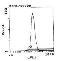 Invitrogen RT1.Ac Monoclonal Antibody (OX-27), FITC 100 &mu;g; FITC:Antibodies,