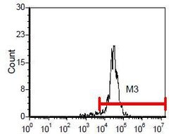 Endothelium Monoclonal Antibody (OX-43), Biotin:Antibodies, Monoclonal
