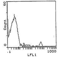 Invitrogen pan T cells Monoclonal Antibody (OX-52), Biotin 500 &mu;g; Biotin:Antibodies,