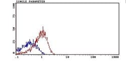 Invitrogen Erythrocytes Monoclonal Antibody (OX-83) 250 &mu;g; Unconjugated:Antibodies,