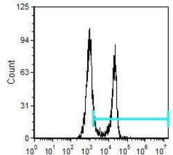 Invitrogen CD8 alpha Monoclonal Antibody (CT-CD8a), PE:Antibodies:Primary
