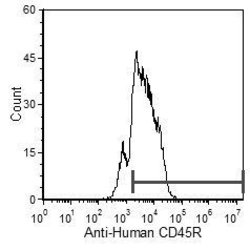 Invitrogen CD45R Monoclonal Antibody (YTH80.103) 200 &mu;g; Unconjugated:Antibodies,