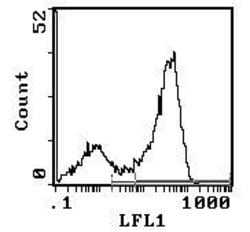 Invitrogen CD90 Monoclonal Antibody (IBL-1), FITC:Antibodies:Primary Antibodies