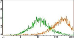 Invitrogen OX40L Monoclonal Antibody (OX89), Biotin 100 &mu;g; Biotin:Antibodies,