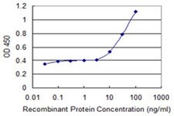 ABCF1 Monoclonal Antibody (1B4), Invitrogen 100 &mu;g; Unconjugated:Anticuerpos